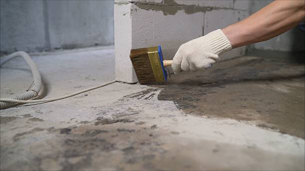 SJ Waterproofing Pros Waterproofing coverage map for Falkville, AL and surrounding area